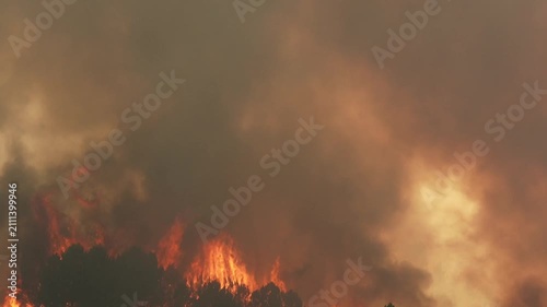 Dangerous wildfire burning in a spanish pine forest, devastating the landscape. Uncontrolled flames and thick smoke rise from the trees