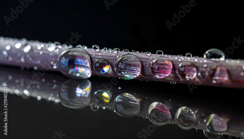 Macro Photograph of Dew Drops on a Plant Stem with Reflections.