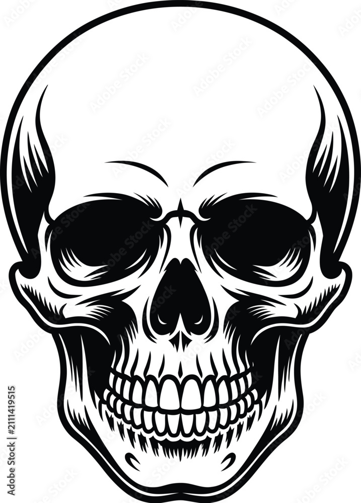 Fototapeta premium Vintage human skull vector, anatomical head illustration, black and white icon