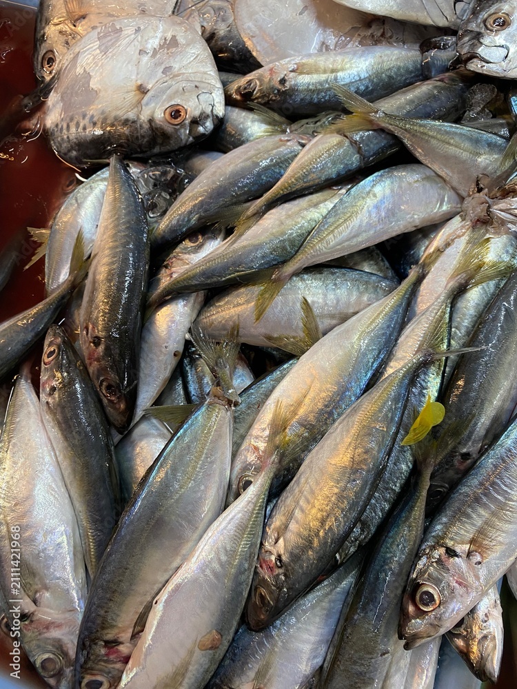 Obraz premium fresh fish on the market 