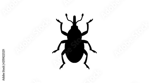 Fotografija Black silhouette of a weevil insect on a white background