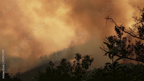 Massive clouds of orange smoke rising from a raging forest wildfire. A firefighting airplane dropping water, to extinguish the dangerous flames