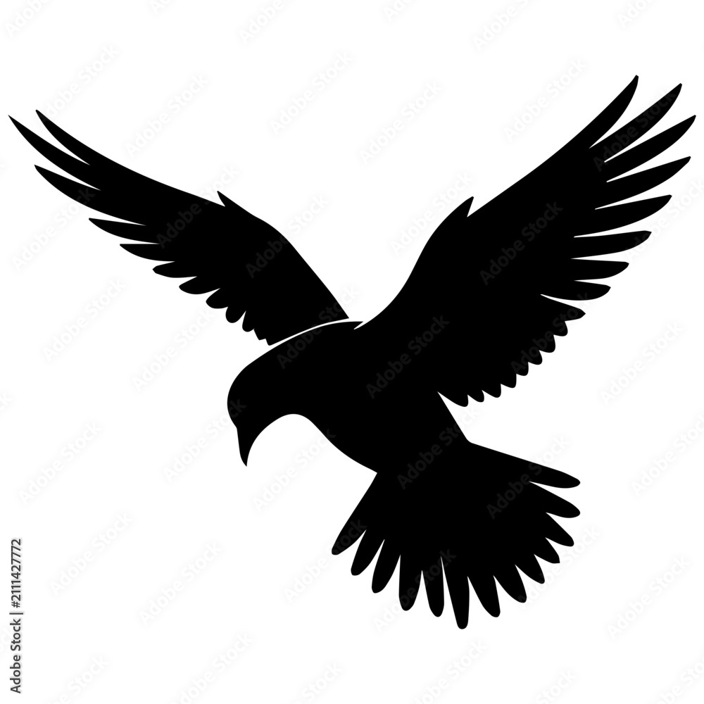 Fototapeta premium Black dove flying downward. Silhouette of a bird in flight, isolated on white background.