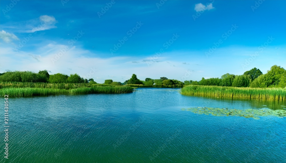 Fototapeta premium photo of a seamless texture of calm pond water