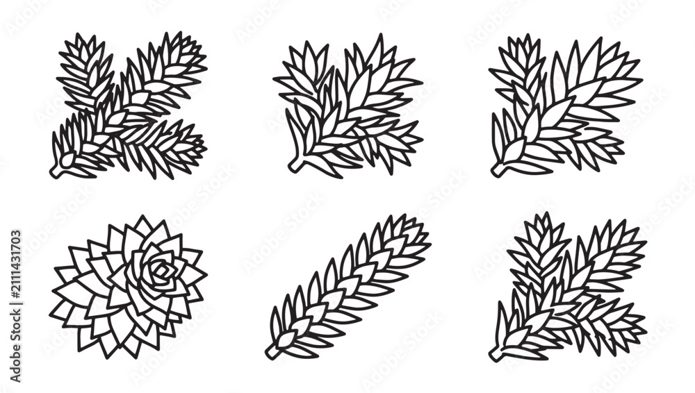 Fototapeta premium Set of coniferous tree branches and pinecones outline illustration with coniferous botanical evergreen woodland seasonal holidays decoration illustration minimalist monochrome isolated