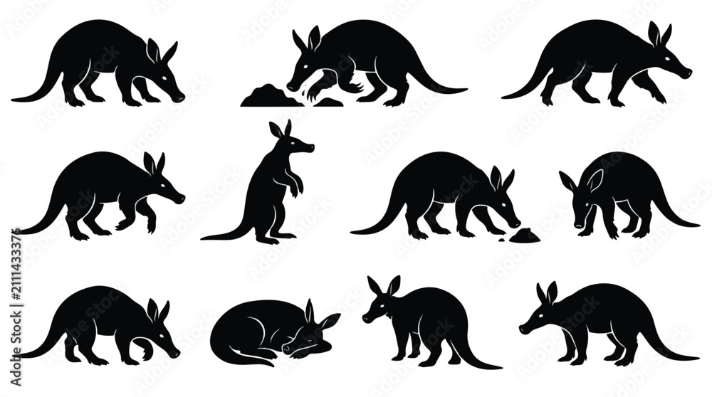 Fototapeta premium Kangaroo and wallaby wildlife icon set. Various poses including standing, grazing, sitting, and resting. Flat black vector silhouettes for educational materials.