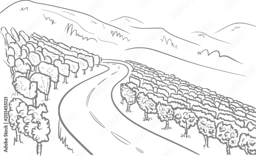 Fototapeta premium Un dibujo a mano de un camino sinuoso que pasa a través de filas de vides en un paisaje de viñedos montañosos escénicos.