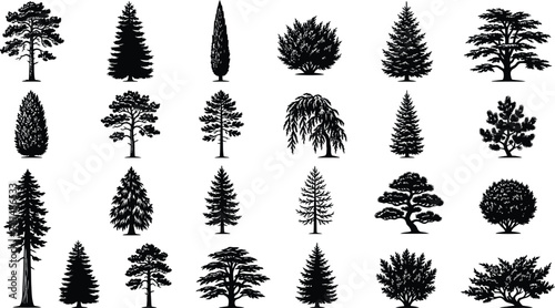 Obraz na płótnie Evergreen Tree Silhouette Collection Botanical Forest Vector Design Elements Ill