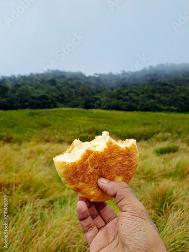 Foto Close Up of Hand Holding Bitten Bread Bun Outdoors in a Scenic Green Meadow Land