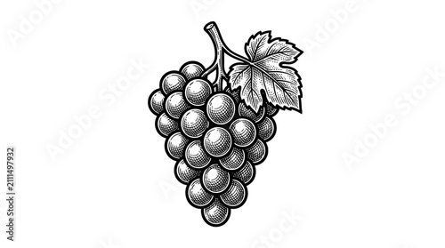 Foto Bunch of grapes with leaf engraving style illustration.