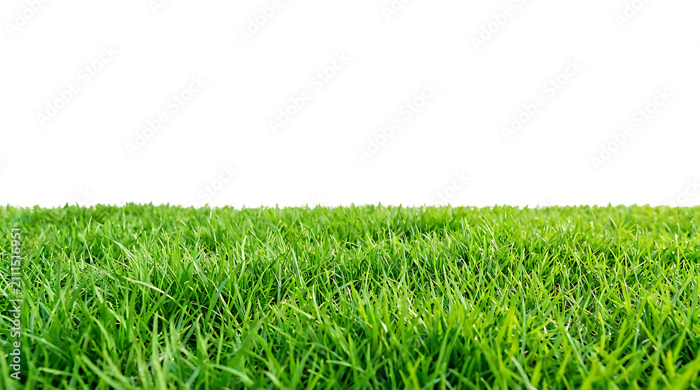 Obraz premium grass field with vibrant green blades under a clear sky featuring nature, outdoor, landscape
