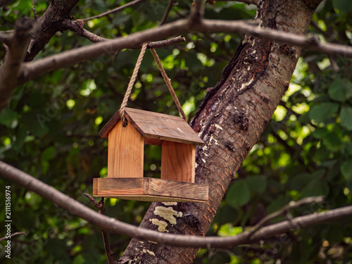 Wooden bird feeder hanging from a rope on a tree branch in a lush summer garden