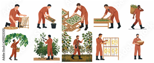 Foto Sericulture and silk production process set with farmers working in mulberry fie