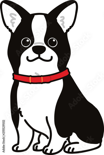 Simple and adorable Boston Terrier with a red collar illustration sitting in front view outlined