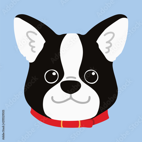 Simple and adorable Boston Terrier with a red collar illustration front face