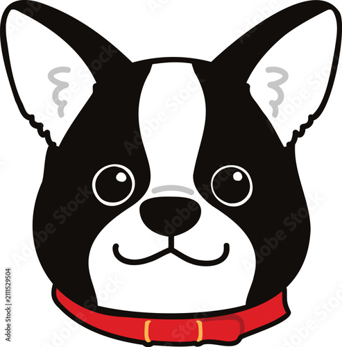 Simple and adorable Boston Terrier with a red collar illustration front face outlined