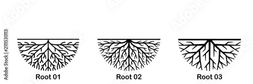 Schilderij op canvas Plant root system vector icon set, underground root structures line art illustra