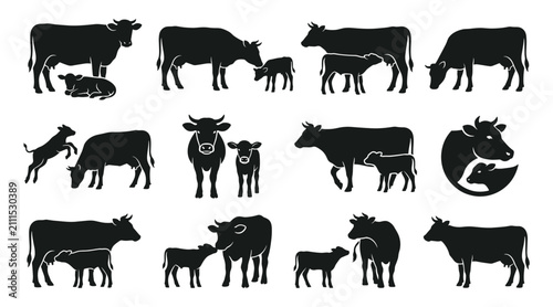 Cows and Calves in Various Poses and Activities, Black Silhouettes on White Background Featuring Cow, Calf, Silhouette