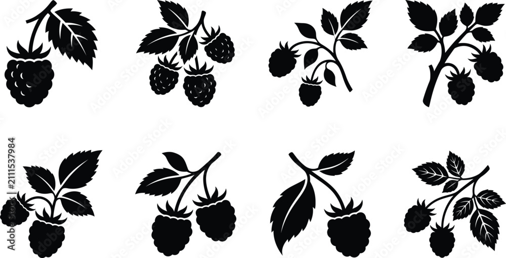 Obraz premium Wild Raspberry Silhouette Icon Set, Berry Stem Vector Elements Isolated on White