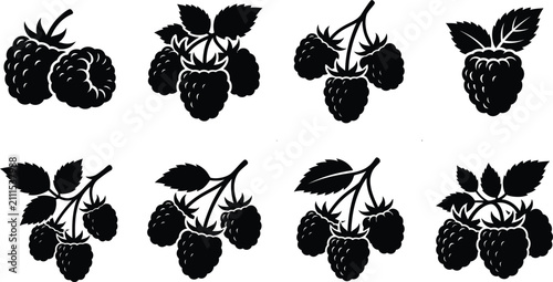 Ripe Raspberry Cluster Silhouette Set, Fruit Branch Vectors on White Background