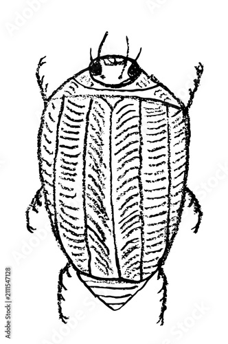 Cute bug crayon sketch, doodle insect illustration