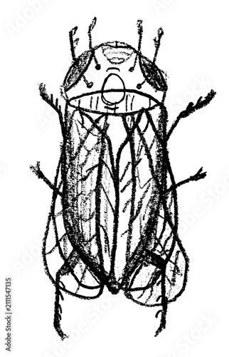 Cute bug crayon sketch, doodle insect illustration
