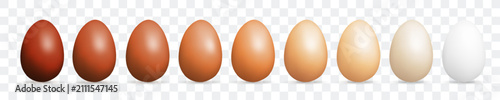 3d chicken egg set, realistic vector shell isolated