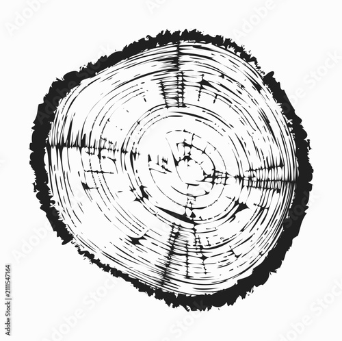 Tree trunk cut texture, wood slice annual rings vector pattern