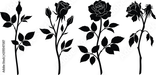 Obraz na płótnie Set of black rose flower silhouettes with leaves and stems
