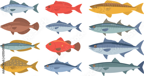 Photography Fish species flat vector illustration