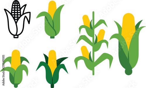 Foto Corn stalk flat vector illustration