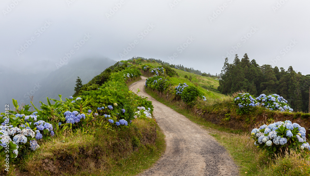 Fototapeta premium Sete Cidades, San Miguel Island, Azores, Portugal. Winding dirt path surrounded by lush greenery and hydrangeas. Misty mountains in the background. Overcast sky with fog.