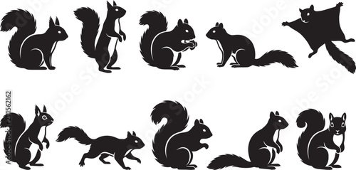 фотографія Squirrel Silhouettes Collection On White Background animal