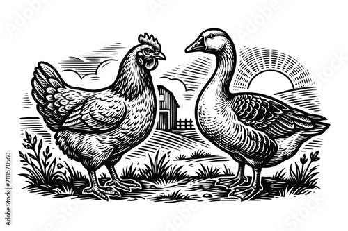 Farm life landscape illustration featuring a chicken and goose in a rustic setting