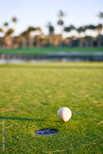 Картината върху платно Close up view of a white golf ball resting beside the hole on a green putting su