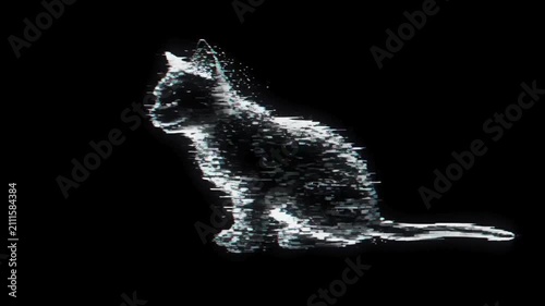 glitch depicts a kitten in black background.
