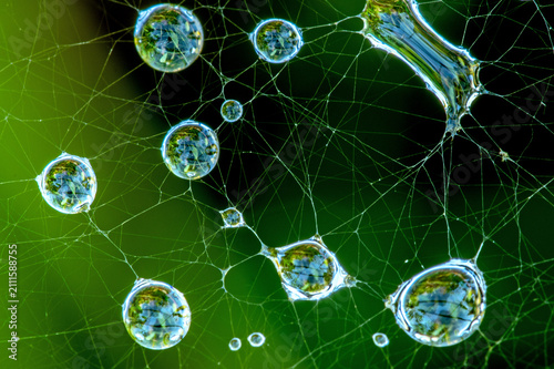 Foto dew drops in spiderweb