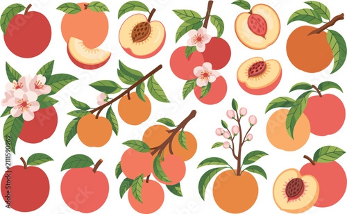 Set of peaches and flowers, peach fruit with leaf, blossoms and branch isolated on white background