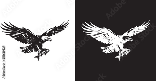 Hand Drawn Ink Brush Flying Eagle Catching Fish Vector Illustration Isolated On White And Black Background