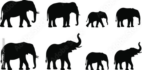 Photography Set of black African elephant silhouettes in various poses isolated on a white b