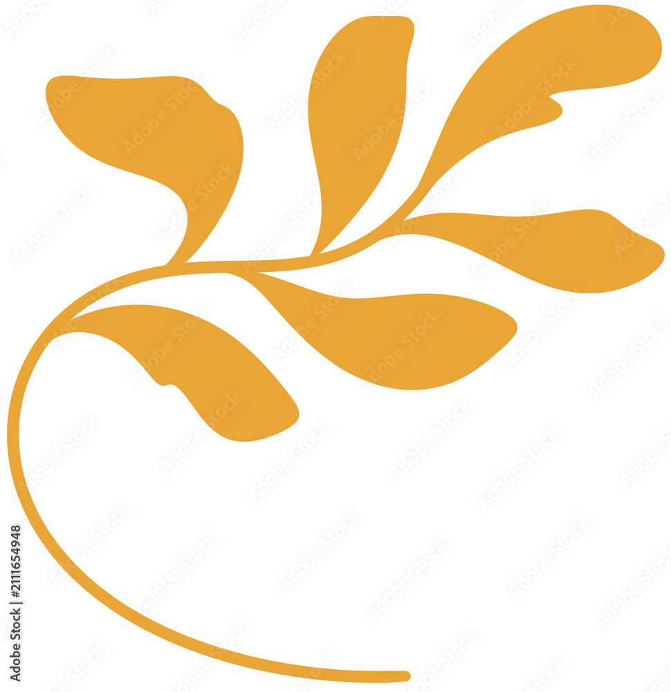 Fototapeta premium vector illustration of an orange fruit