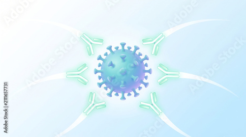 Targeted immune response visualization demonstrating active antibodies attacking a viral pathogen representing vaccine effectiveness