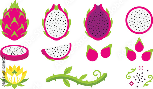 Dragon Fruit Vector Set with Whole Pitaya Half Slices Seeds and Blossom Elements for Graphic Food Designs