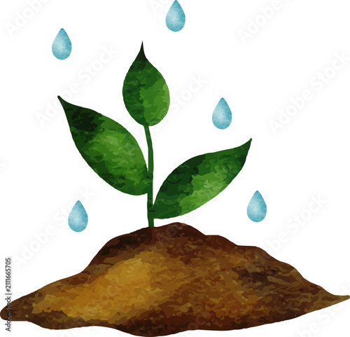Sprout growing from soil with falling water drops watercolor style