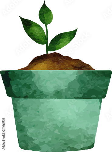 Watercolor style green potted plant sprout