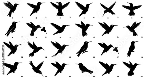 Bild auf Leinwand Hummingbird Black Solid Silhouette Bundle with Flying Hovering and Perching Bird