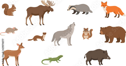 Photography Flat design forest wild animals vector illustration set featuring fox bear wolf