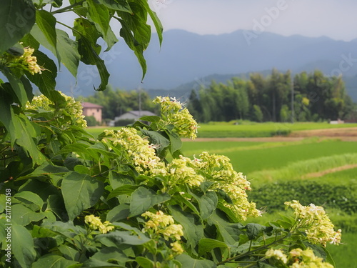 山の中にある田舎の風景