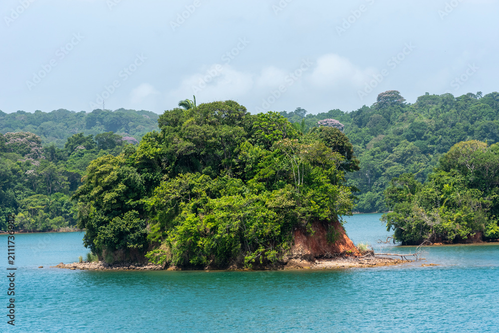 Fototapeta premium Lush vegetation along the Panama Canal with navigation signs positioned near the water's edge. Tropical maritime landscape.