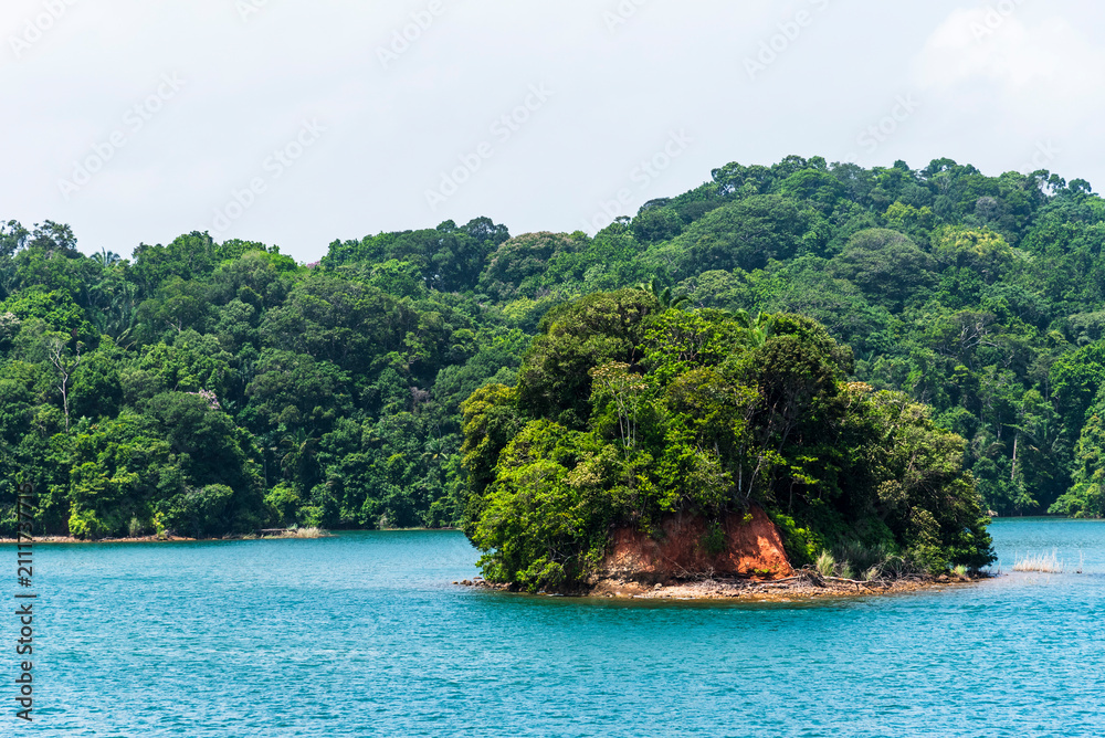 Obraz premium Tropical forest landscape along the Panama Canal with abundant greenery covering the waterway banks.